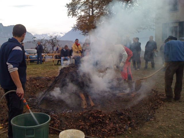 photo_184.jpg